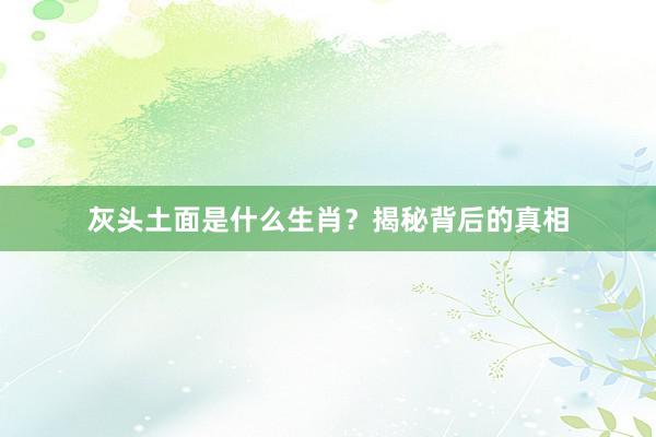 灰头土面是什么生肖？揭秘背后的真相